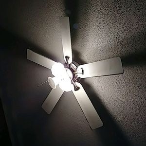 Meet your Posher, Liz